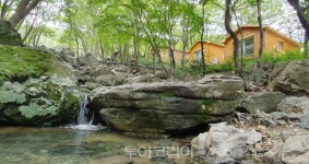 찬란한 여름, 초록 자연 속에서 캠핑!