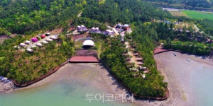 찬란한 여름, 초록 자연 속에서 캠핑!