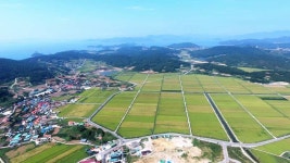 전복의 보고 완도 노화도....맛있는 섬여행! 섬에서 삼시세끼⑤