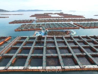 전복의 보고 완도 노화도....맛있는 섬여행! 섬에서 삼시세끼⑤