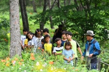 별·바람·꽃 힐링 즐기러 하늘과 맞닿은 정선 고한 함백산 만항재로!