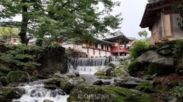 [포토] 언택트 힐링 관광지 고즈넉한 천년고찰 순천 송광사