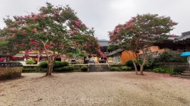 [포토] 언택트 힐링 관광지 고즈넉한 천년고찰 순천 송광사