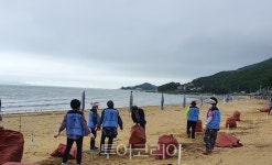 Naver 搜索结果照片 6