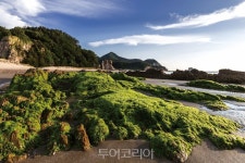인적 드문 인천의 언택트 힐링 섬①  대청도