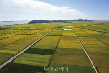 실향민의 향수 어린 땅 교동도