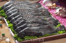 코로나19에 신안 섬 우럭·불볼락 축제 취소, 내년 기약
