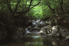 힐링특구 영주의 여름이야기 