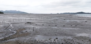 갯벌의 가치, 호국의 함성따라 신안ㆍ진도 힐링여행①.. 갯벌과 짱뚱어 그리고 자은도