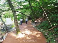 정읍 내장산 우드칩 황토길 1.2km 개통...탐방로 걸으며 심리방역을!
