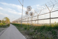 평화누리길 어플과 함께 비대면 도보여행 즐겨요!