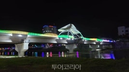 무주 남대천교 반딧불이 경관조형물 오색 점등