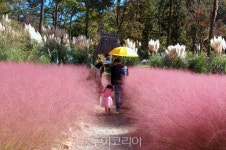 땅끝 해남에 가다! 만추(晩秋) 속을 걷다! 여행세포가 깨어난다!