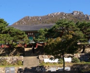 땅끝 해남에 가다! 만추(晩秋) 속을 걷다! 여행세포가 깨어난다!