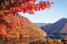 피할 수 없으면 즐겨라! 코로나시대 여행법