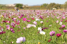 피할 수 없으면 즐겨라! 코로나시대 여행법