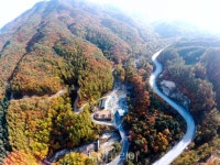 답답한 도심 떠나 국립화천숲속야영장에서 가을 캠핑!