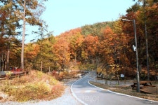 답답한 도심 떠나 국립화천숲속야영장에서 가을 캠핑!