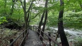 치유의 길 무주구천동 어사길 비대면 명소 자리매김