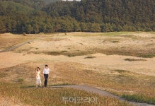 힐링 로드 따라 태안