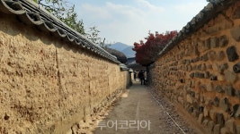 안동 하회마을로 마실을 떠나다