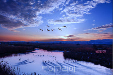 서산 천수만 철새도래지 생태관광지역 3연속 지정
