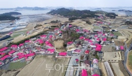 신안군  퍼플섬 꼭 가봐야 할 한국관광 100선 뽑혀