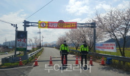 창녕낙동강유채축제 취소, 유채단지·개비리길 26일부터 통제