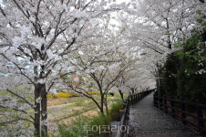 경기도, 꽃길 걸으며 힐링하기 좋은 경기옛길 코스