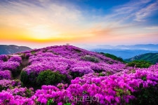 경남도가 뽑은 안전한 봄나들이 코스!