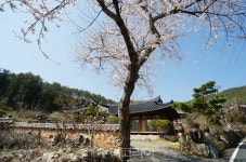 기대 이상! 핫한 강진에서 일주일 살기