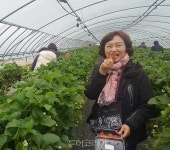 기대 이상! 핫한 강진에서 일주일 살기