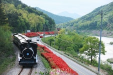 섬진강 물길따라 기차·레일바이크·자전거 타고 봄날의 곡성 만나러 가요! 