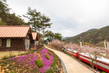 곡성 힐링 스폿에서 休
