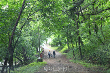 가정의 달 5월 국립자연휴양림 평일에 가면 선물