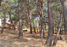 구례, 국내 최초 숲정원 지리산정원 솔숲 힐링쉼터 조성