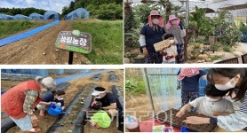 전북도, 500만 캠핑인구 겨냥 캠핑과 텃밭농장 결합 캠핑농장 도입