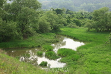 곡성 월봉습지에 멸종위기 꼬마잠자리 올해 첫 출현