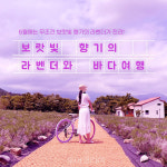 보랏빛 향기 가득한 고성에서 인생샷 찍고 동해바다 매력에 푹!   