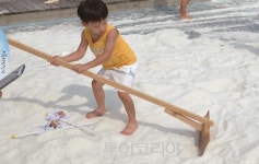 시흥갯골축제, 갯골 4계절 테마로 오늘부터 4개월간 하이브리드 축제로!