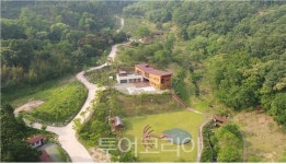 코로나 스트레스 날리는 명당 찾아 대전 무수동 치유의 숲