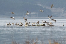 진정한 힐링·치유가 필요한 순간 순천만국가정원·순천만습지로!