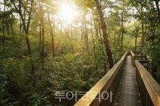 고창 운곡람사르습지,전북도 생태관광지 육성사업 4년 연속 1위 달성