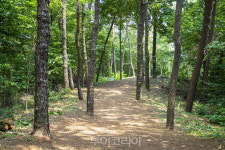코로나시대 핫플레이스로 떠오른 익산 도심 수변공원 3