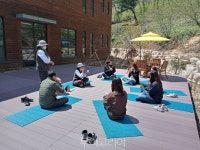 경북도,힐링 명소치유의 숲 조성 박차