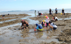 세계유산도시 서천에서 갯벌·한산모시짜기 체험여행을!