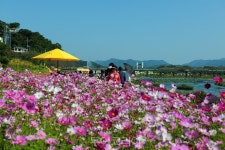 장성에서 보름 살며 장성의 숨은 매력 찾아보세요!