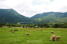 전남 자동차여행, 드라이브하며 가을바람 쪽빛바다 노을빛 만끽!
