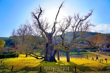 달성에서 고택의 고즈넉한 운치에 반하다!