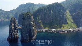 크루즈 타고 울릉도로 특별한 가을여행을!